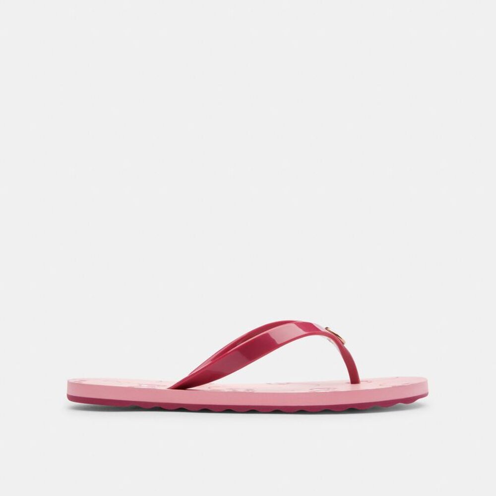 NWT Coach Outlet Zayn Flip Flop Fruit Print - Picture 2 of 7